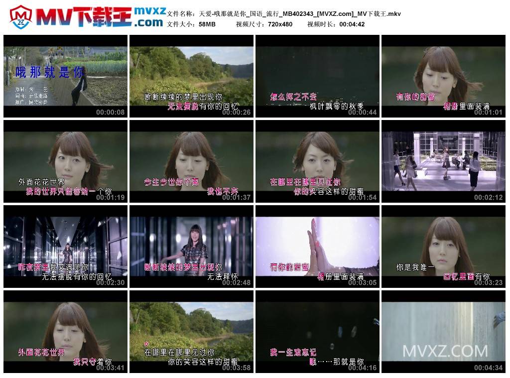 天爱-哦那就是你_国语_流行_MB402343